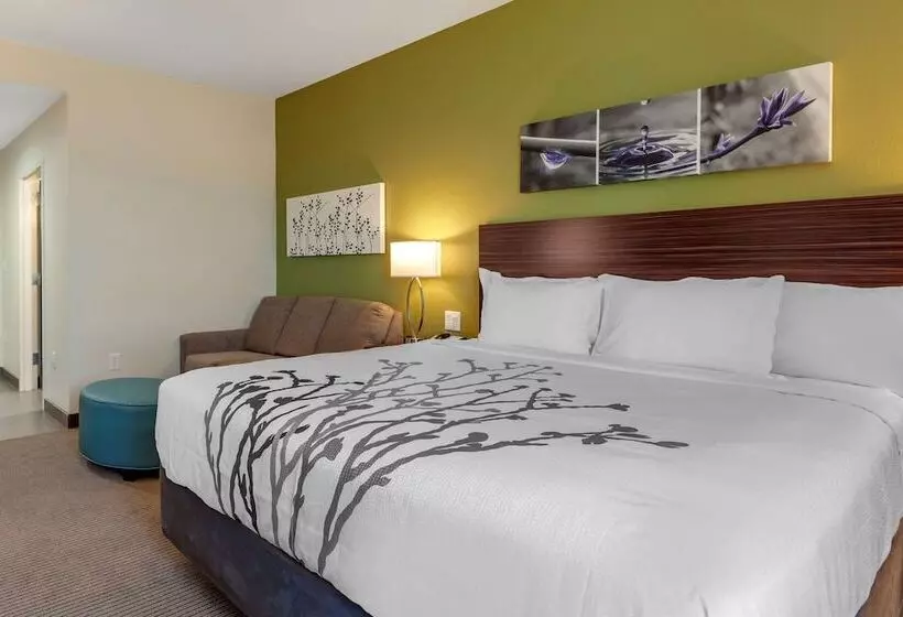ホテル Sleep Inn & Suites
