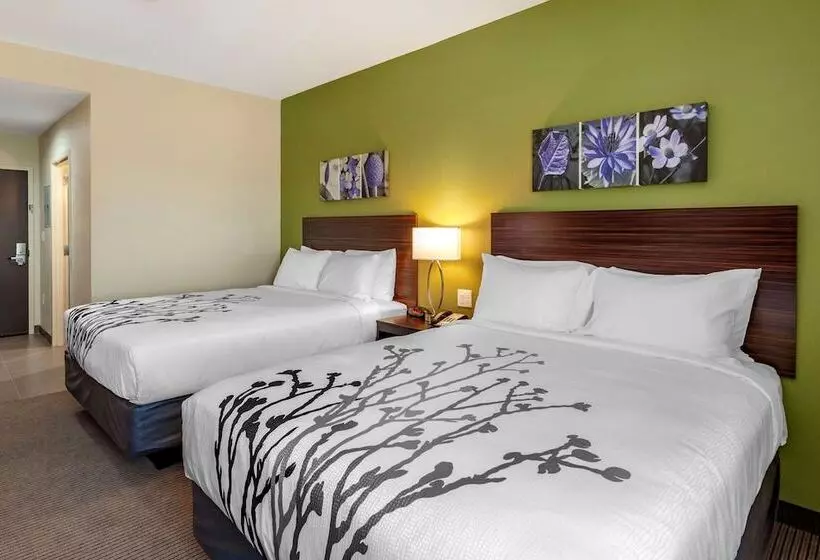 ホテル Sleep Inn & Suites