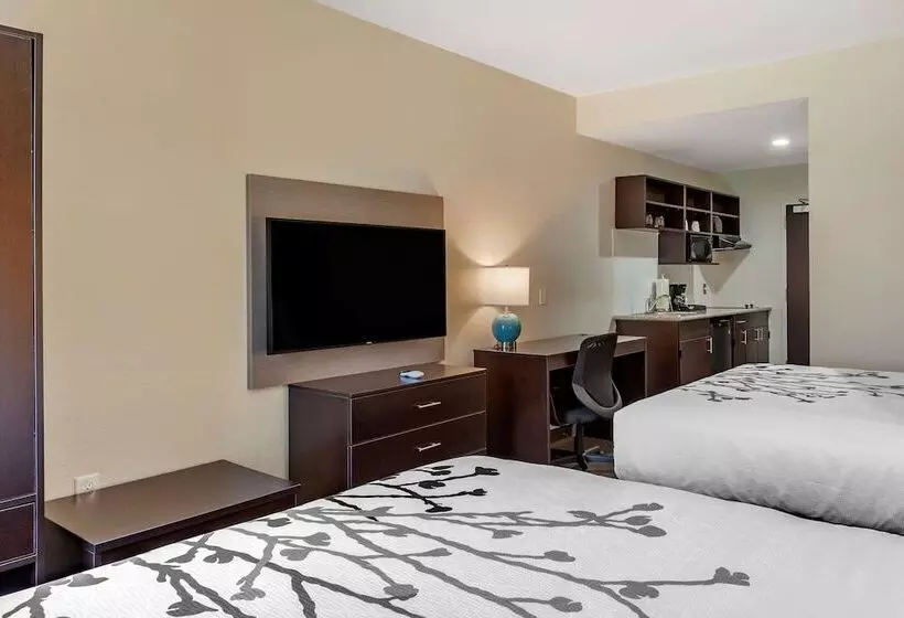 ホテル Sleep Inn & Suites