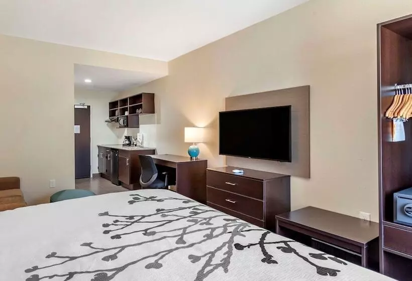 ホテル Sleep Inn & Suites
