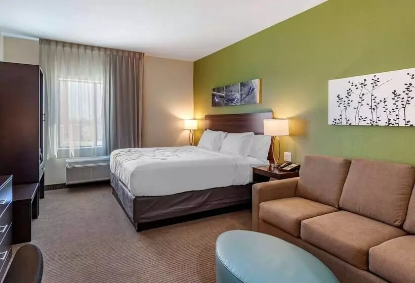 ホテル Sleep Inn & Suites