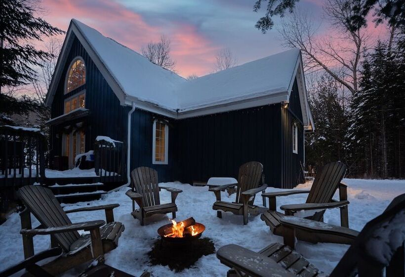 Maison Napoléon B&b