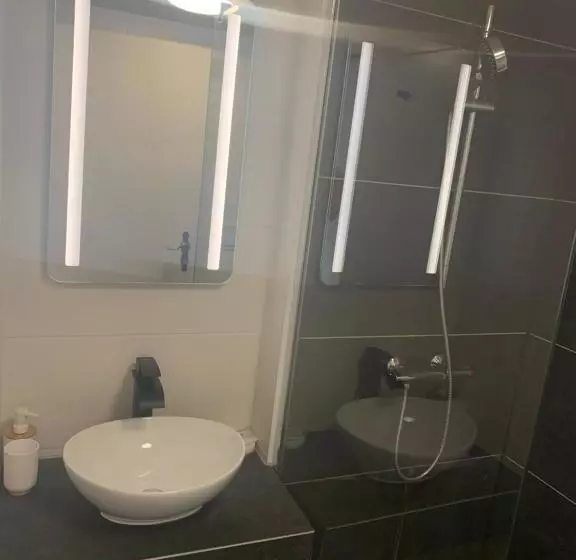 Swiss Hotel Krummen Eich Pratteln Free Parking