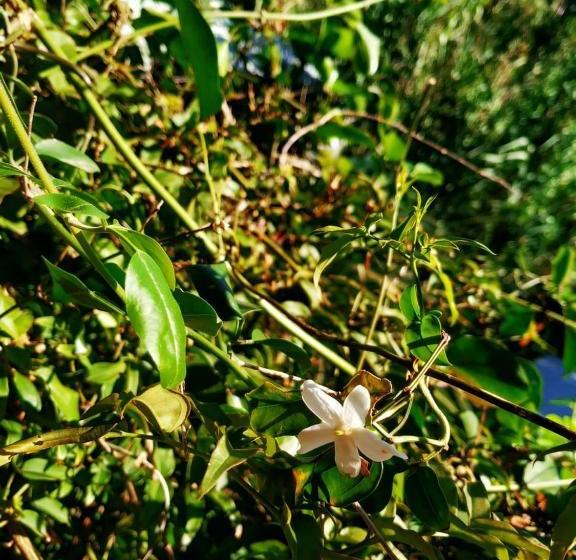 צימר La Máquina Del Tiempo