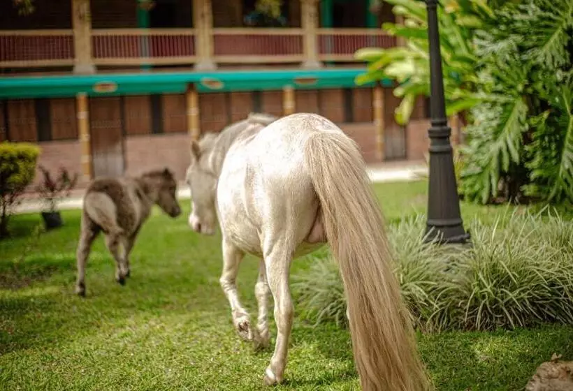 Finca Hotel El Diamante