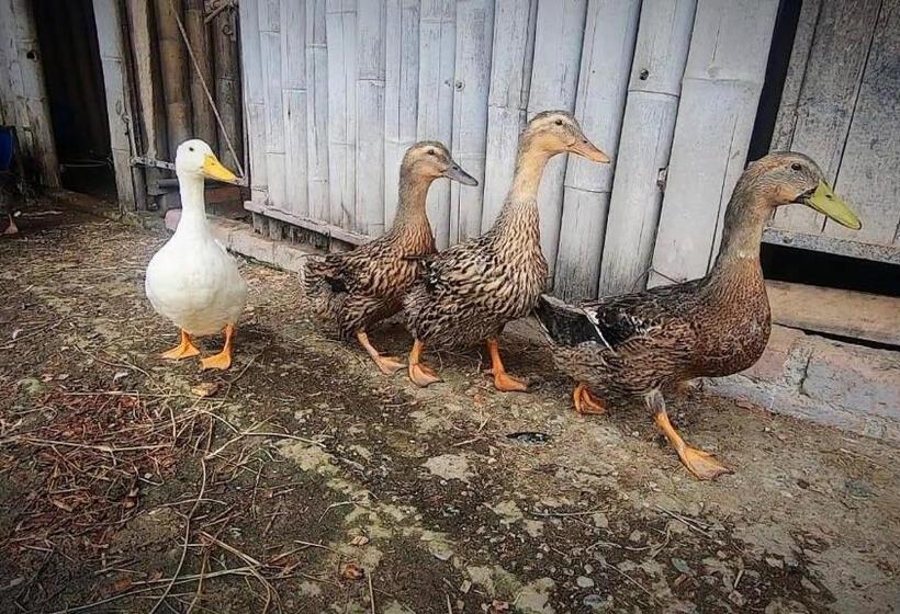 Finca Hotel El Diamante