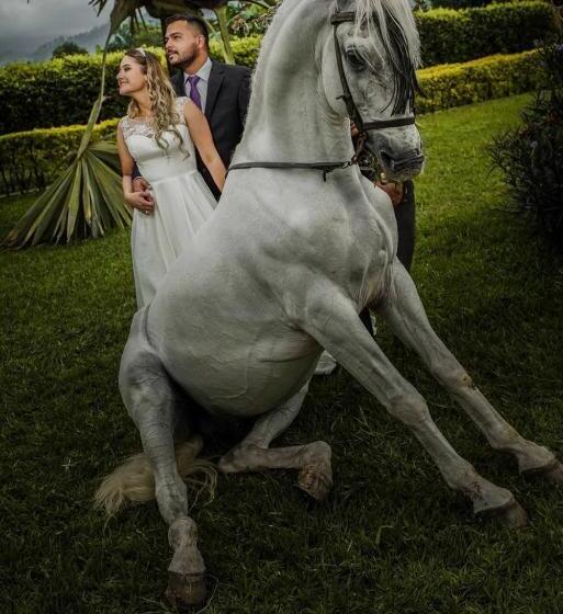 Finca Hotel El Diamante