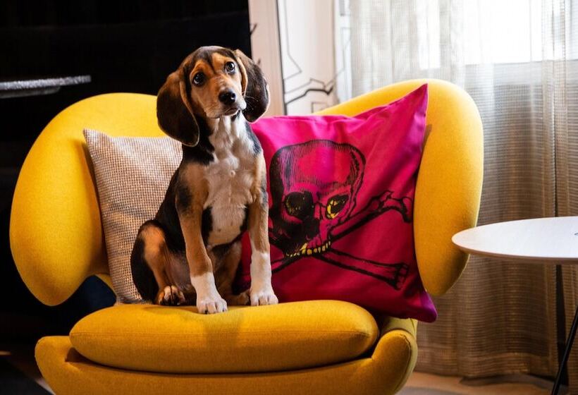 فندق Aloft Tampa Midtown