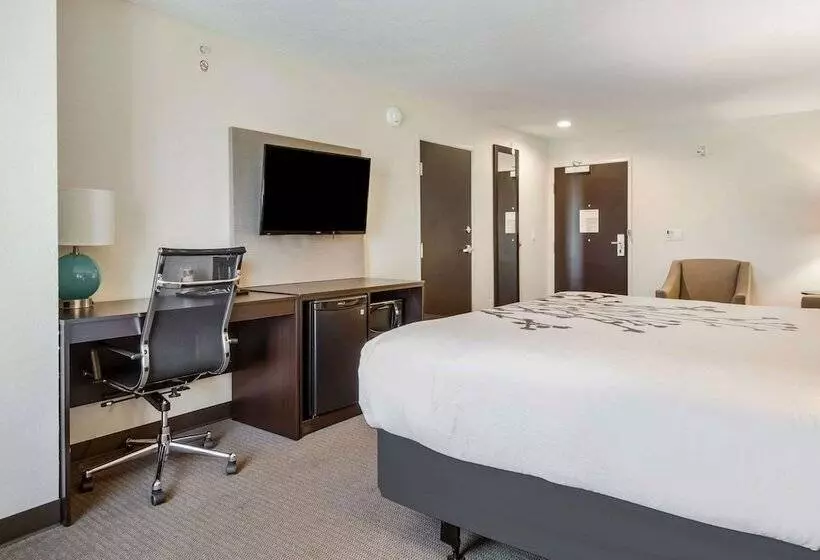 ホテル Sleep Inn