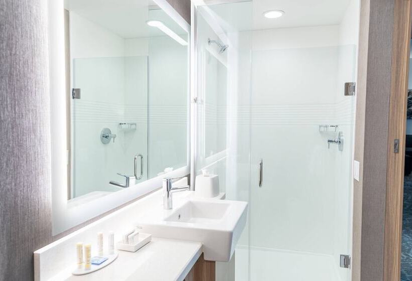 هتل Springhill Suites By Marriott Overland Park Leawood