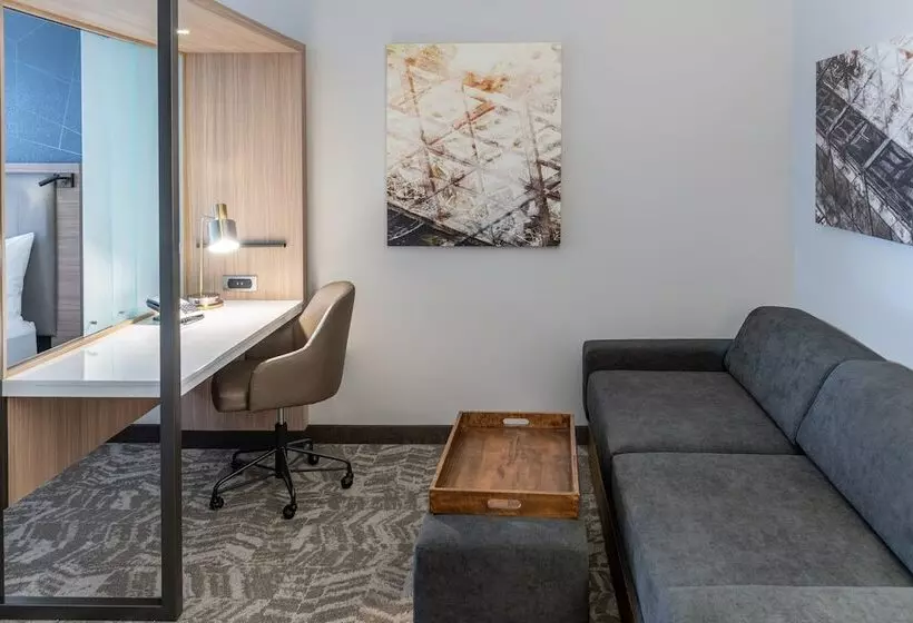 هتل Springhill Suites By Marriott Overland Park Leawood
