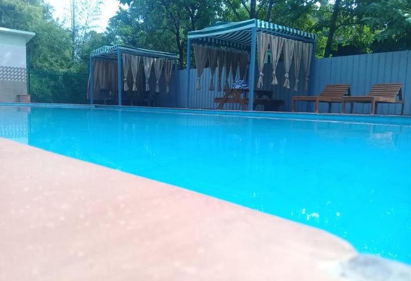 בית מלון כפרי Wildernest By Goldmark