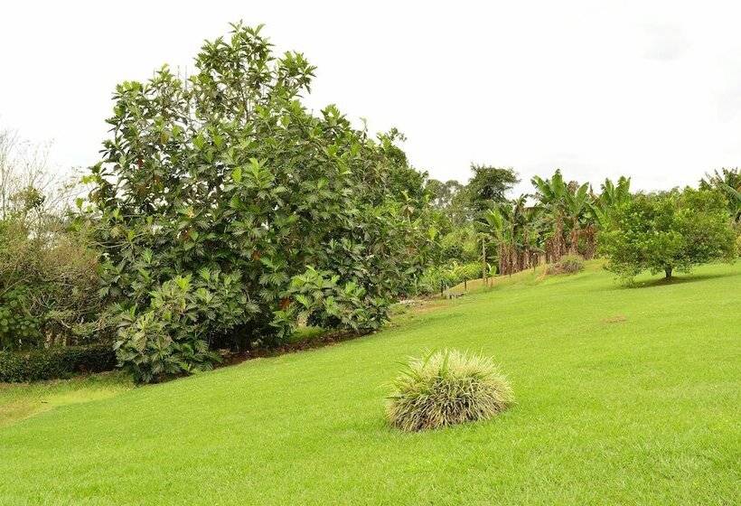 هتل Campestre Camino Del Parque