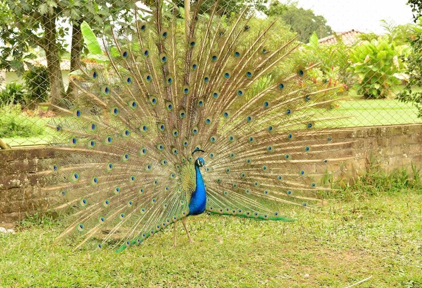 هتل Campestre Camino Del Parque