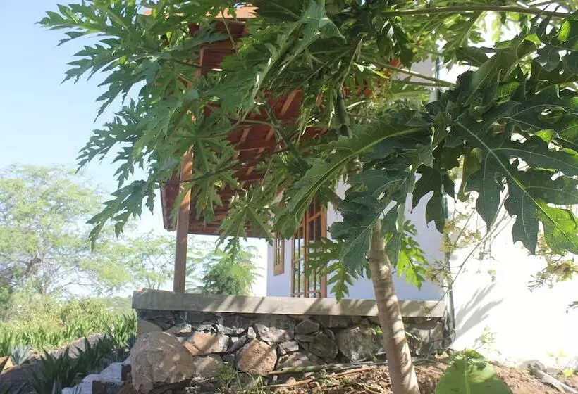 هتل La Fora Ecolodge