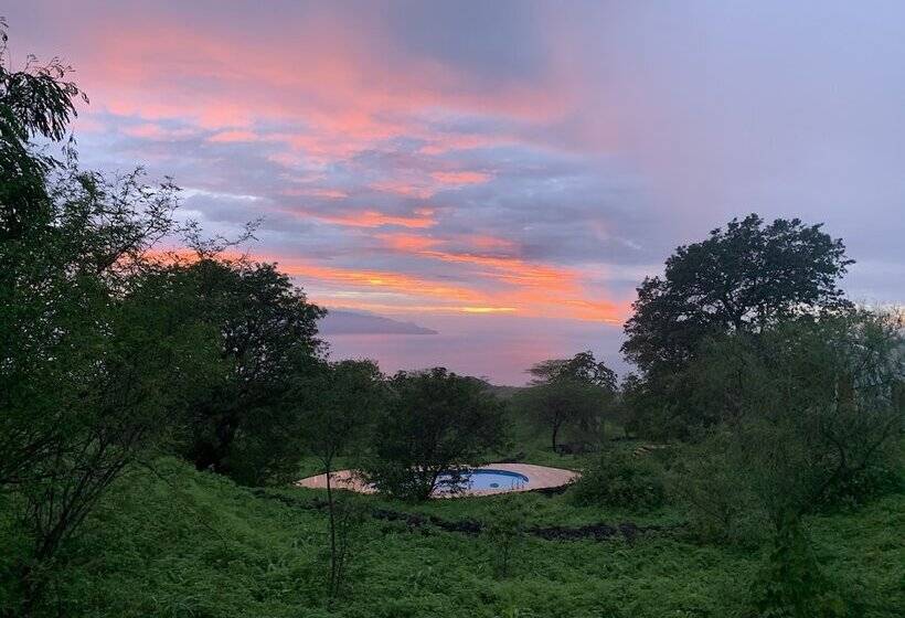 هتل La Fora Ecolodge