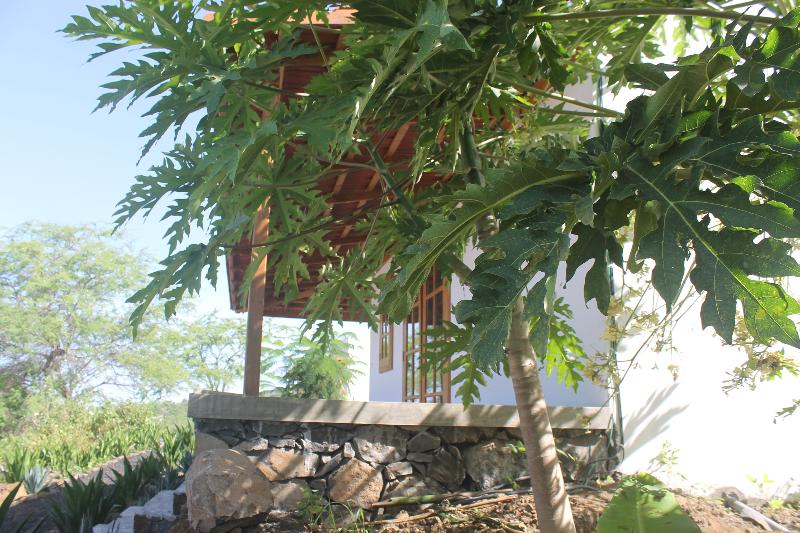 هتل La Fora Ecolodge