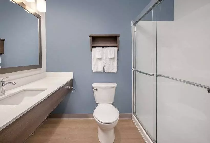 هتل Woodspring Suites Charlotte  University Research Park