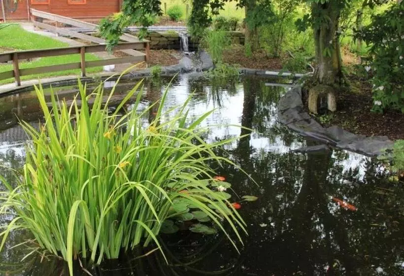 Hotelli Zum Buchenberg