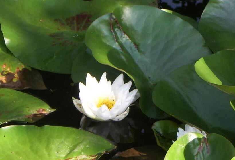 호텔 Zum Buchenberg