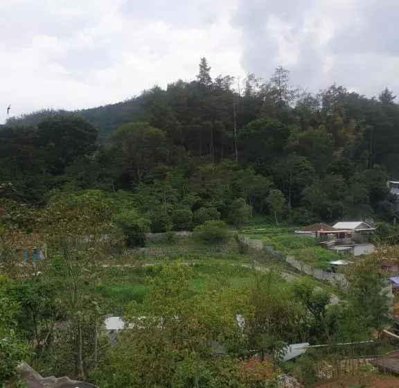 Majatalo Villa Bugenville Songgoriti
