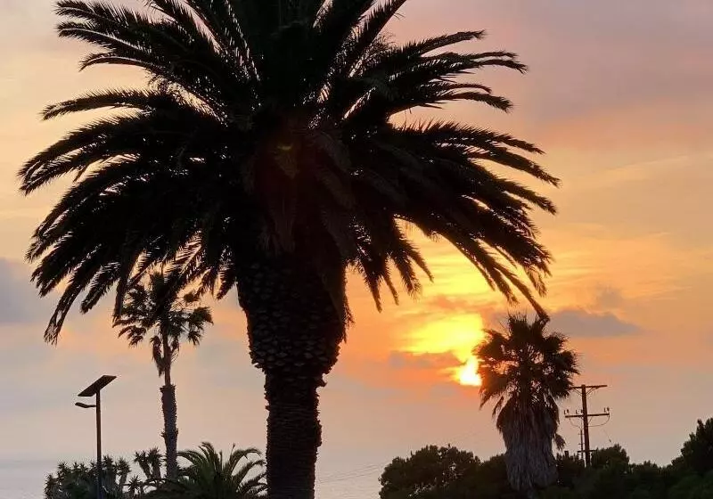 ユースホステル Lax Guest House