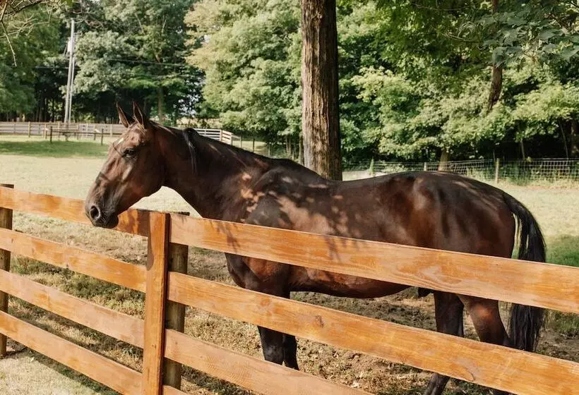 Retkeilymaja Sojourner's Lodge & Log Cabin Suites
