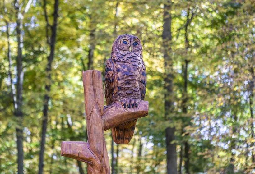 فندق صغير Sojourner's Lodge & Log Cabin Suites