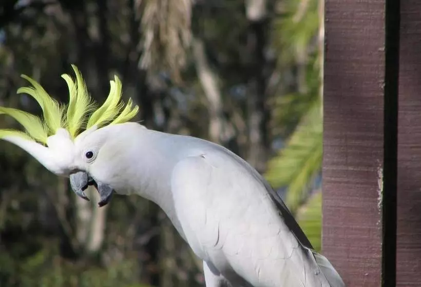 Retkeilymaja Yha Pittwater Eco, Sydney