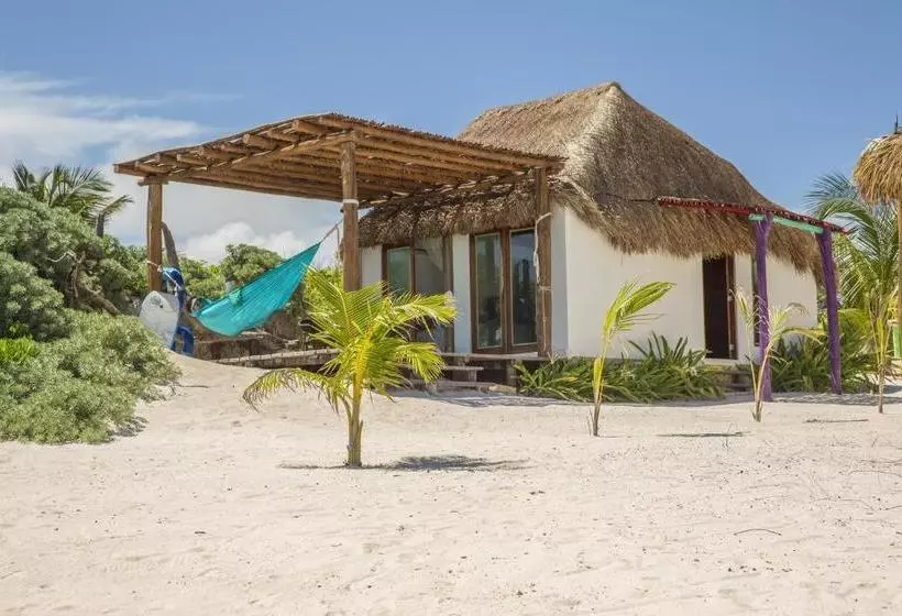 پانسیون El Secreto Ocean Front Cabin