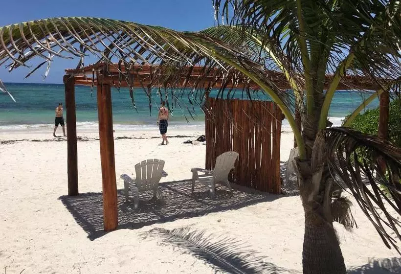 پانسیون El Secreto Ocean Front Cabin