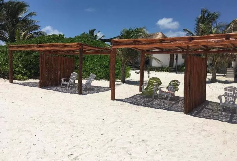 پانسیون El Secreto Ocean Front Cabin