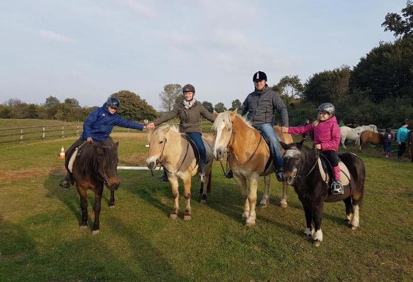 فندق Malus Ponyhof