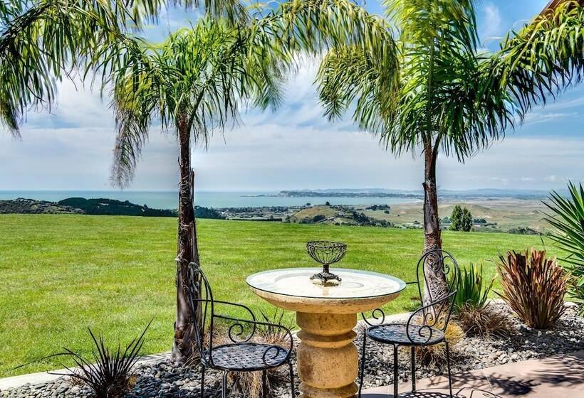 호텔 Napier B&b Tequila Sunrise