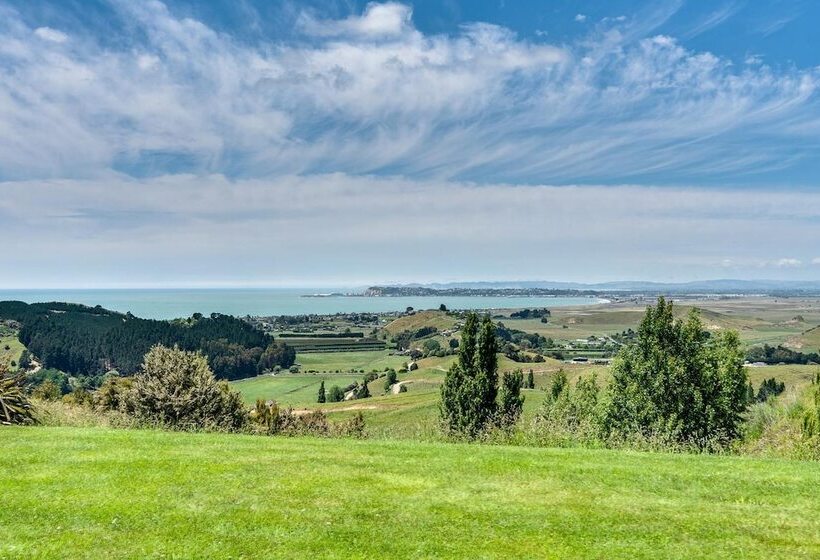 호텔 Napier B&b Tequila Sunrise