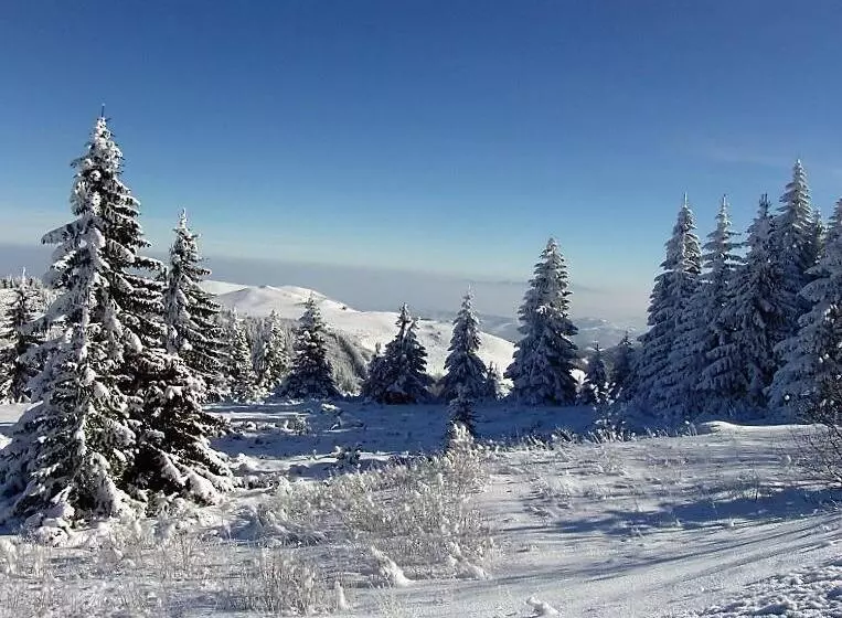 استراحتگاه Milmari Mm L24