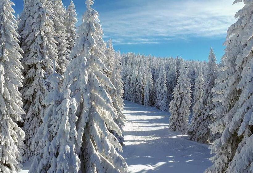 Resort Milmari Mm L24