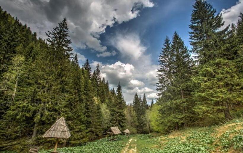 Resort Milmari Mm L24