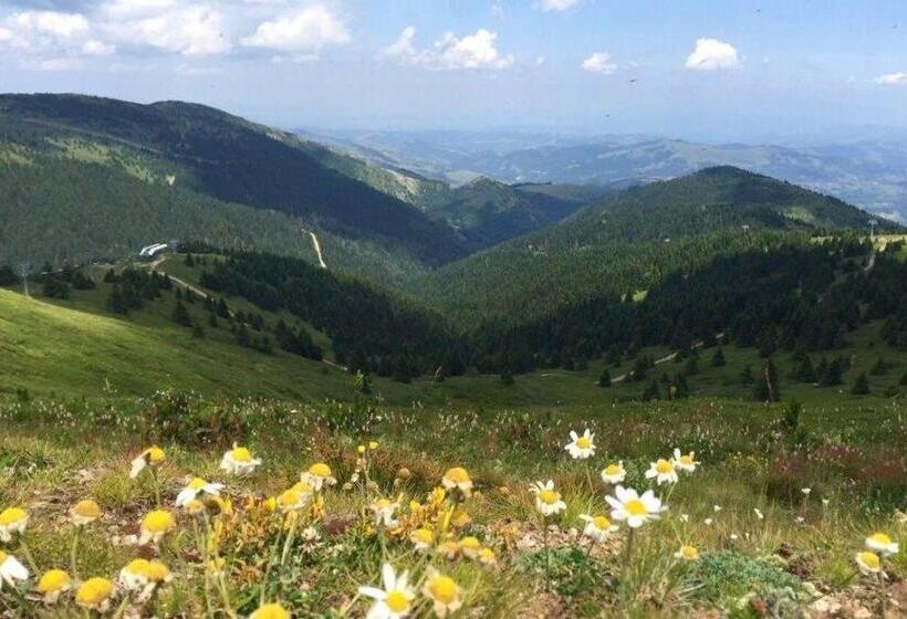 Resort Milmari Mm L24