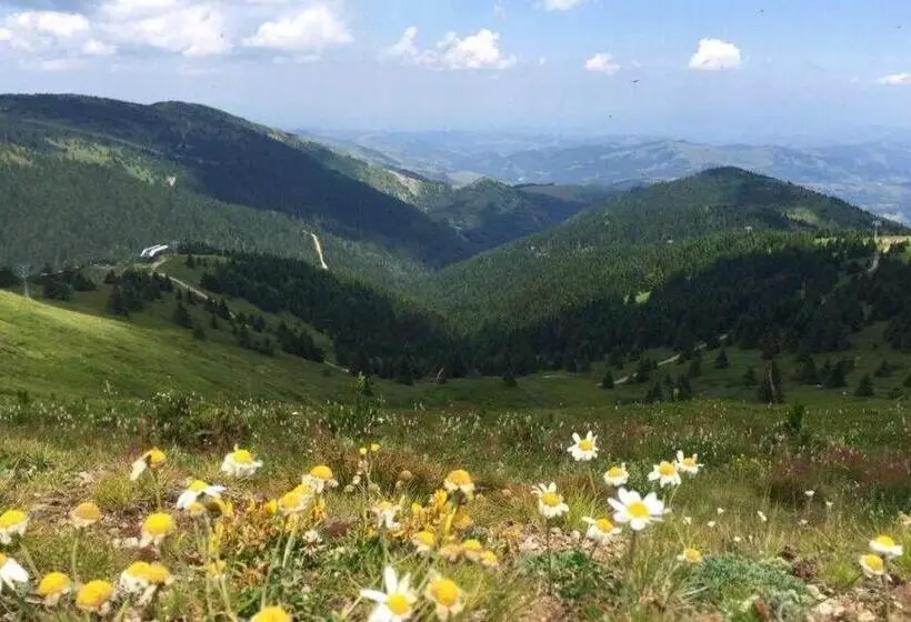 استراحتگاه Milmari Mm L24