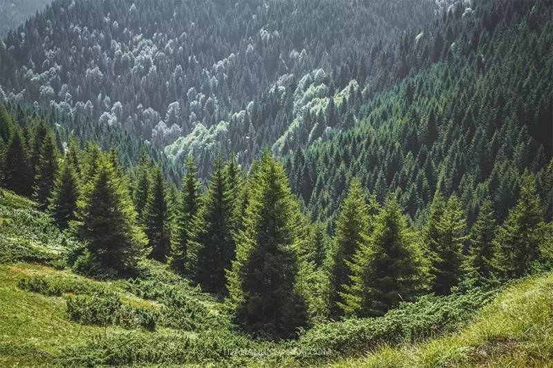 استراحتگاه Milmari Mm L24