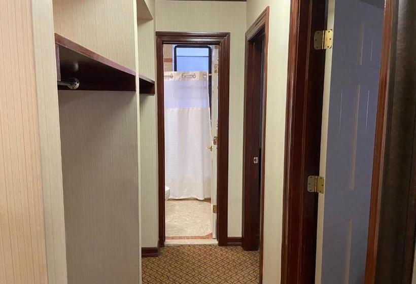 酒店 Chelsea International Hostel