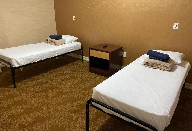 酒店 Chelsea International Hostel