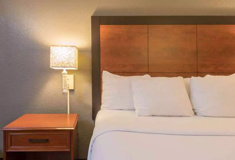 酒店 La Quinta Inn & Suites By Wyndham San Antonio Riverwalk