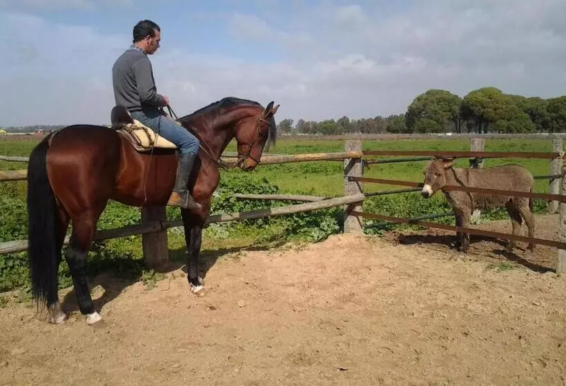 هتل روستایی Hacienda La Indiana