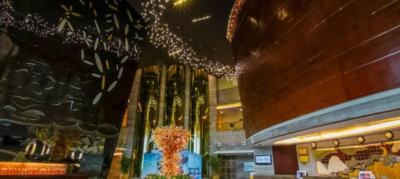 Отель Arcadia International