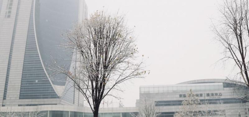 Отель Arcadia International