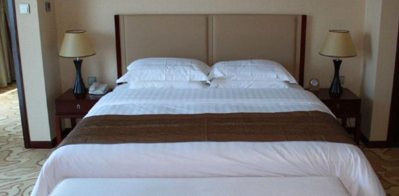 Отель Arcadia International