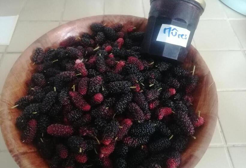 هتل Pension Taitaa Tubuai