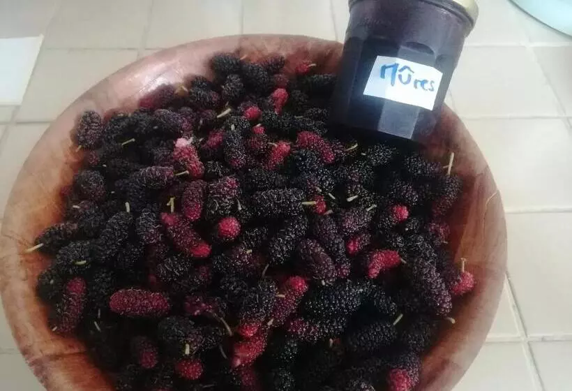 هتل Pension Taitaa Tubuai